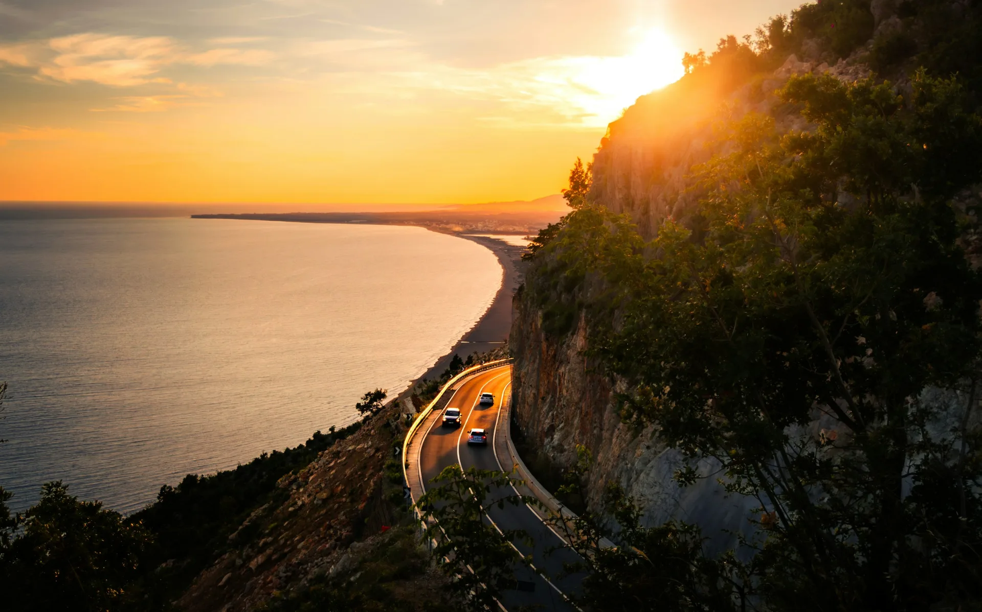 Car Rentals